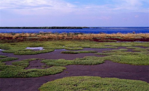 Image - The Black Sea Biosphere Reserve.